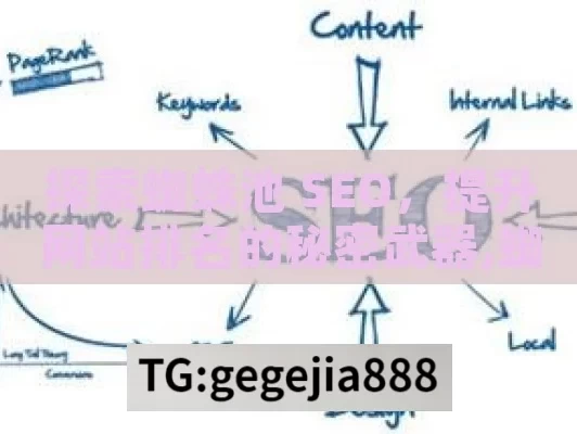 探索蜘蛛池 SEO，提升网站排名的秘密武器,蜘蛛池SEO，提升网站排名的秘诀