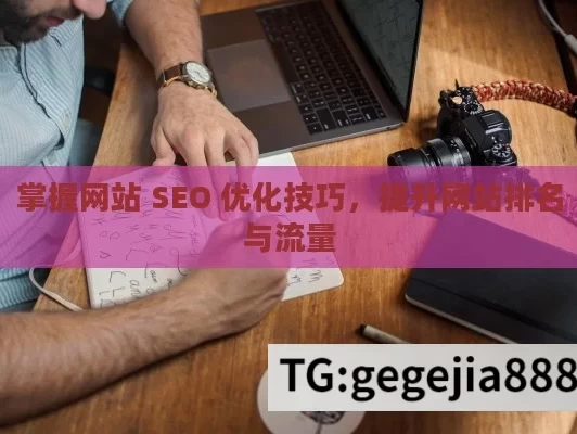 掌握网站 SEO 优化技巧，提升网站排名与流量