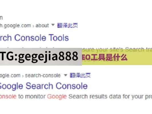 最好的Google SEO工具是什么