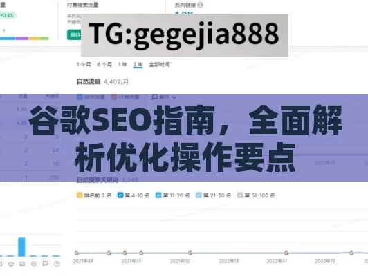 谷歌SEO指南，全面解析优化操作要点