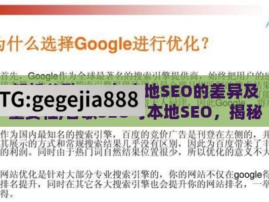 解析谷歌SEO与本地SEO的差异及重要性,谷歌SEO与本地SEO，揭秘全球与本土的搜索引擎优化之战