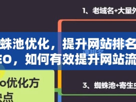 掌握谷歌蜘蛛池优化，提升网站排名的秘密武器揭秘谷歌SEO，如何有效提升网站流量，让你的网站脱颖而出！