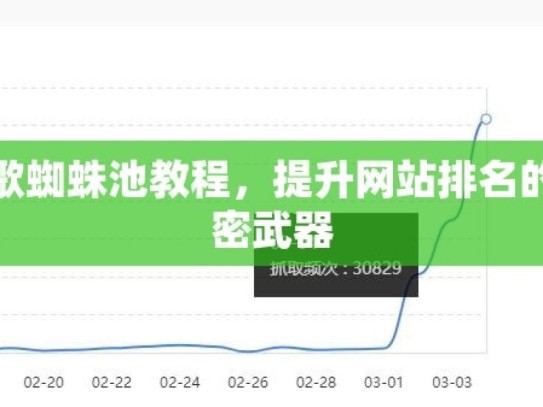 谷歌蜘蛛池教程，提升网站排名的秘密武器