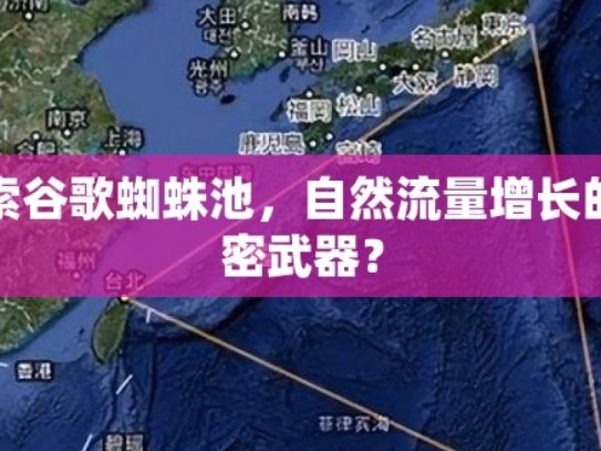 探索谷歌蜘蛛池，自然流量增长的秘密武器？