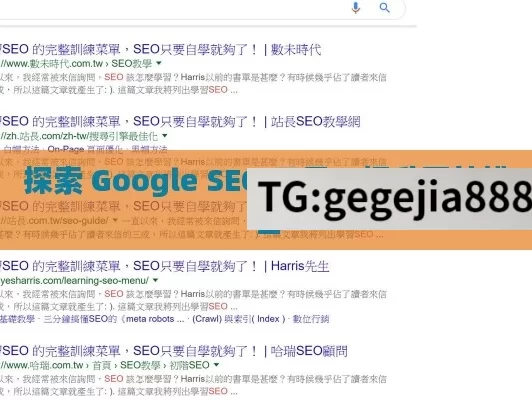 探索 Google SEO 工具，提升网站排名