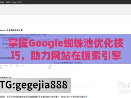 掌握Google蜘蛛池优化技巧，助力网站在搜索引擎中脱颖而出