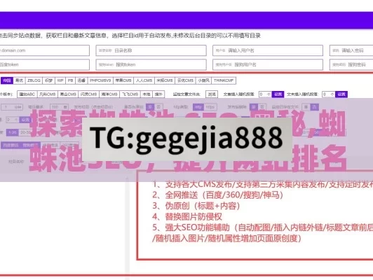 探索蜘蛛池 SEO 奥秘,蜘蛛池SEO，提升网站排名的有效策略