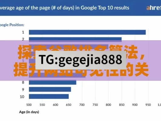 探索谷歌排名算法，提升网站可见性的关键,谷歌排名算法，揭秘网站成功的秘籍