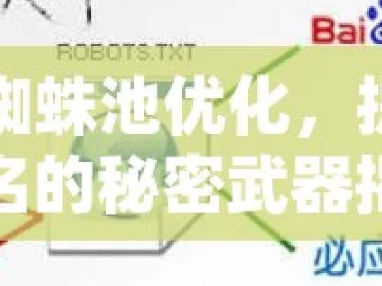 谷歌蜘蛛池优化，提升网站排名的秘密武器揭秘谷歌蜘蛛池软件，提升网站SEO效果的利器