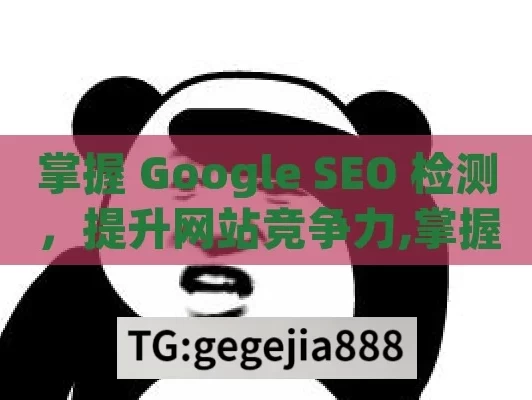 掌握 Google SEO 检测，提升网站竞争力,掌握Google SEO检测，提升网站排名