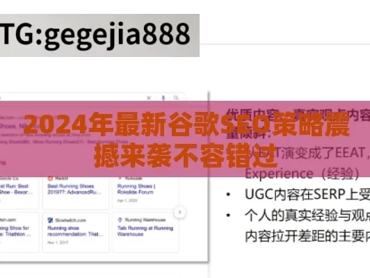 2024年最新谷歌SEO策略震撼来袭不容错过