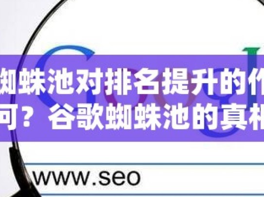 谷歌蜘蛛池对排名提升的作用究竟如何？谷歌蜘蛛池的真相，它能真正提升你的网站排名吗？