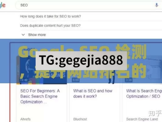 Google SEO 检测，提升网站排名的关键步骤,Google SEO检测全解析