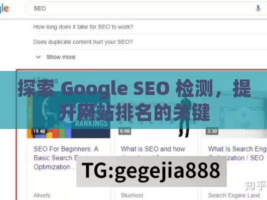 探索 Google SEO 检测，提升网站排名的关键