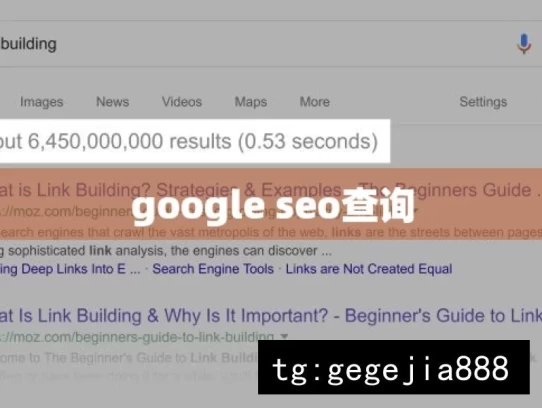 google seo查询，如何进行 Google SEO 查询