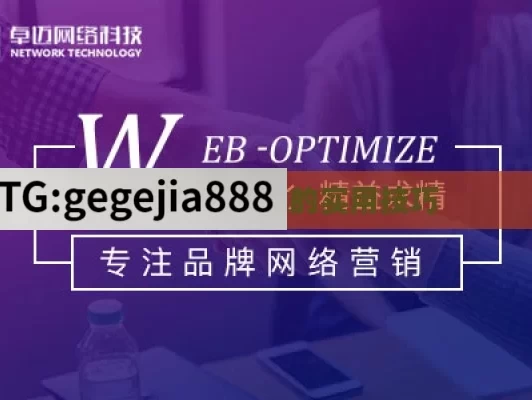 网站 SEO 优化的实用技巧