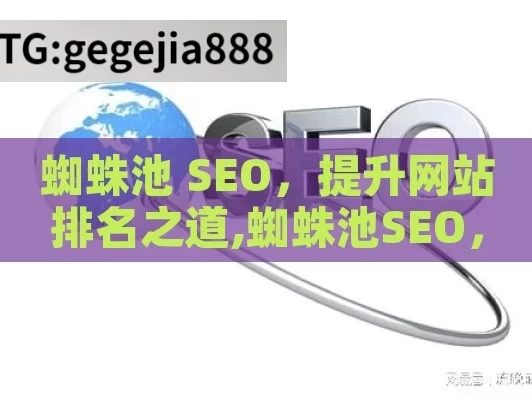 蜘蛛池 SEO，提升网站排名之道,蜘蛛池SEO，优化网站排名的秘密武器