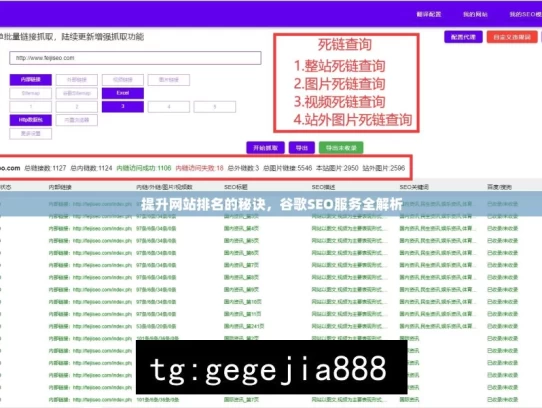 提升网站排名的秘诀，谷歌SEO服务全解析，谷歌 SEO 服务与排名提升