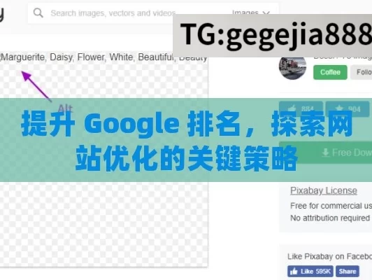 提升 Google 排名，探索网站优化的关键策略