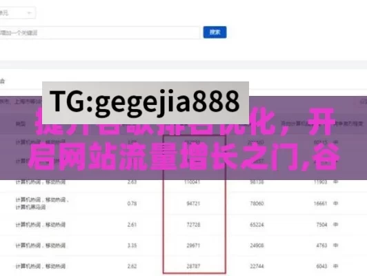 提升谷歌排名优化，开启网站流量增长之门,谷歌排名优化，揭秘提升网站影响力的艺术