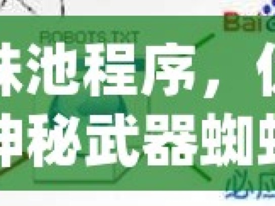 探秘蜘蛛池程序，优化搜索引擎的神秘武器蜘蛛池程序深度解析，互联网数据抓取的利刃