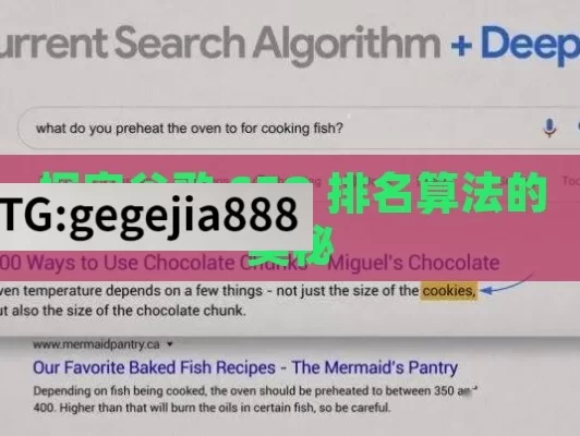 探究谷歌 SEO 排名算法的奥秘