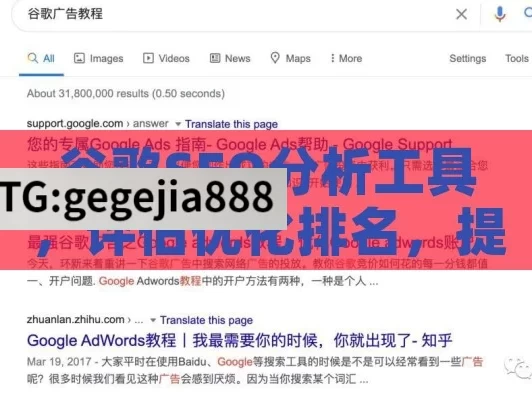 谷歌SEO分析工具，评估优化排名，提升网站可见性