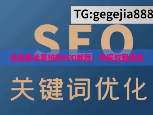 全面解读系统的SEO教程，掌握流量密码