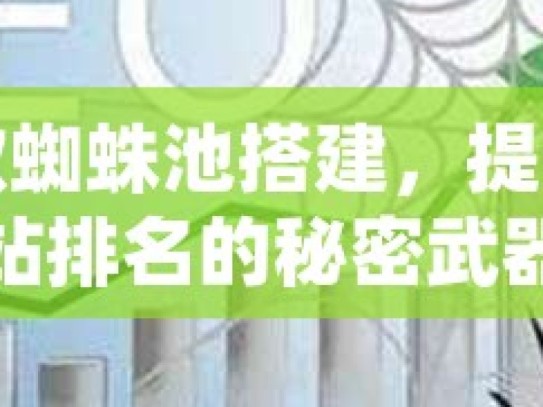 谷歌蜘蛛池搭建，提升网站排名的秘密武器