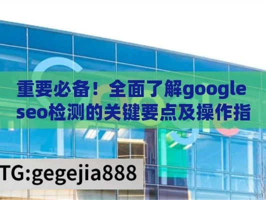 重要必备！全面了解google seo检测的关键要点及操作指南