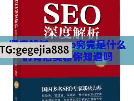 深度解析，seo究竟是什么的背后奥秘你知道吗