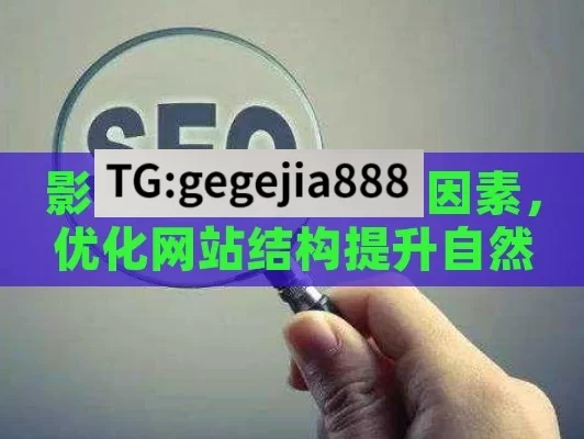 影响谷歌SEO排名因素，优化网站结构提升自然排名