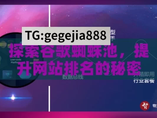 探索谷歌蜘蛛池，提升网站排名的秘密武器,谷歌蜘蛛池，提升网站SEO效果的秘诀