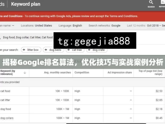 揭秘Google排名算法，优化技巧与实战案例分析，揭秘Google排名算法及优化实战