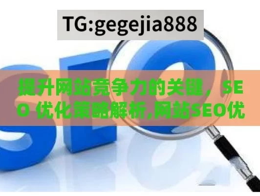 提升网站竞争力的关键，SEO 优化策略解析,网站SEO优化，提升在线可见度的关键策略