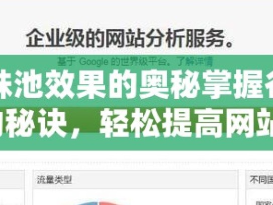 探索谷歌蜘蛛池效果的奥秘掌握谷歌SEO流量提升的秘诀，轻松提高网站排名！