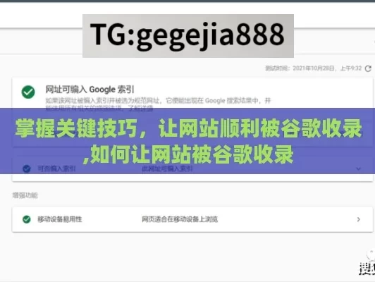 掌握关键技巧，让网站顺利被谷歌收录,如何让网站被谷歌收录