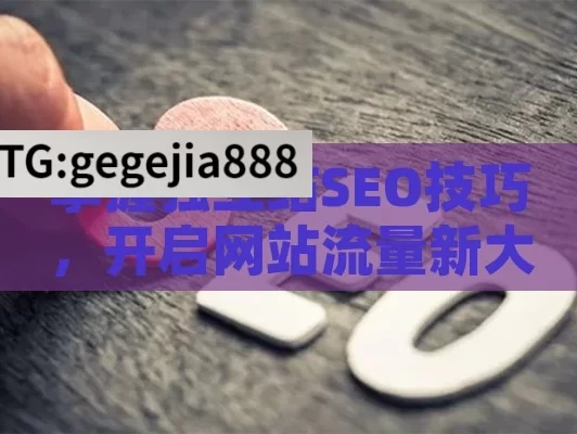 掌握独立站SEO技巧，开启网站流量新大门