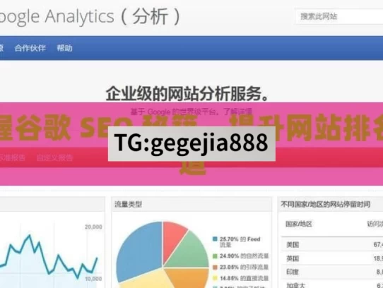 掌握谷歌 SEO 秘籍，提升网站排名之道，掌握谷歌 SEO 秘籍 提升网站排名
