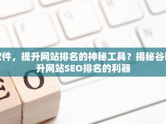 探索谷歌蜘蛛池软件，提升网站排名的神秘工具？揭秘谷歌蜘蛛池软件，提升网站SEO排名的利器