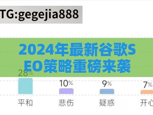 2024年最新谷歌SEO策略重磅来袭