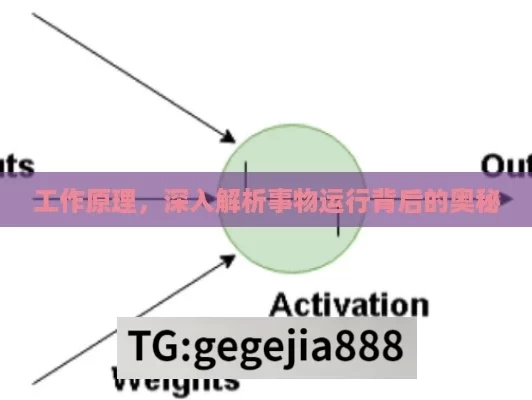 工作原理，深入解析事物运行背后的奥秘