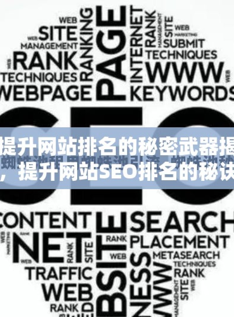 谷歌蜘蛛池技术，提升网站排名的秘密武器揭秘谷歌蜘蛛池技术，提升网站SEO排名的秘诀 - 