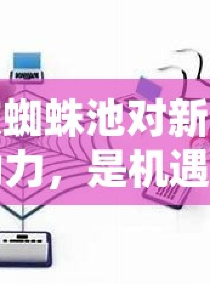 谷歌蜘蛛池对新网站的助力，是机遇还是陷阱？ - 