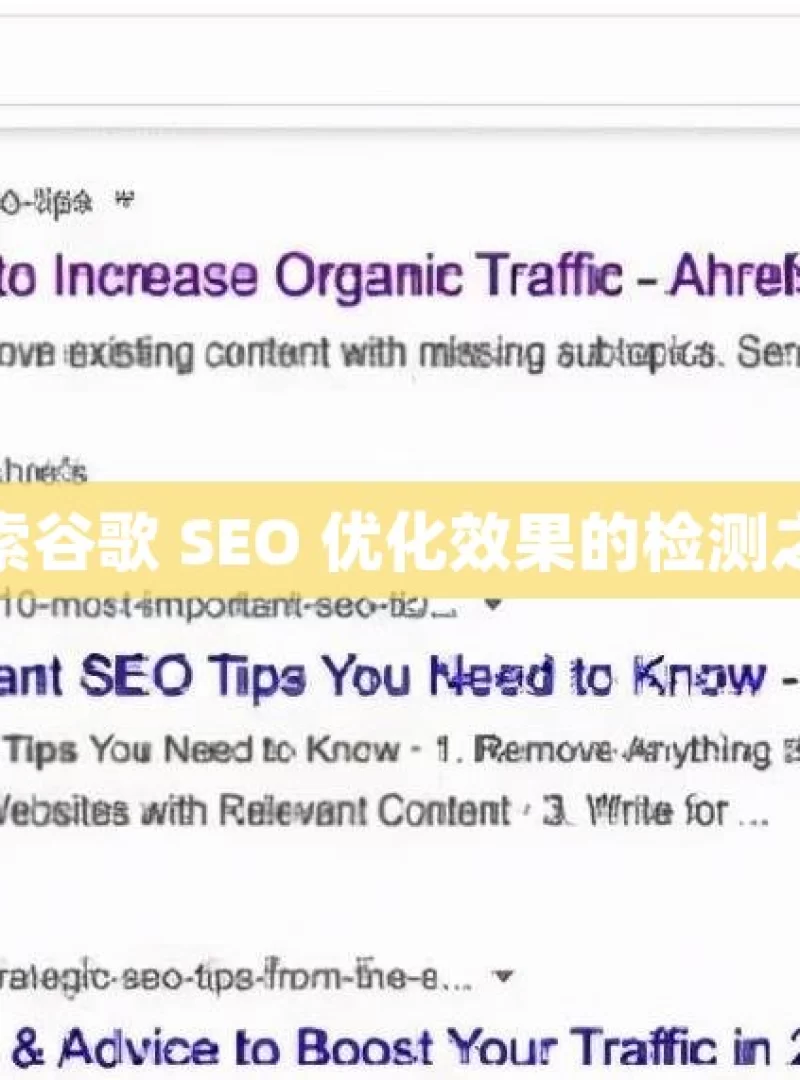 探索谷歌 SEO 优化效果的检测之道