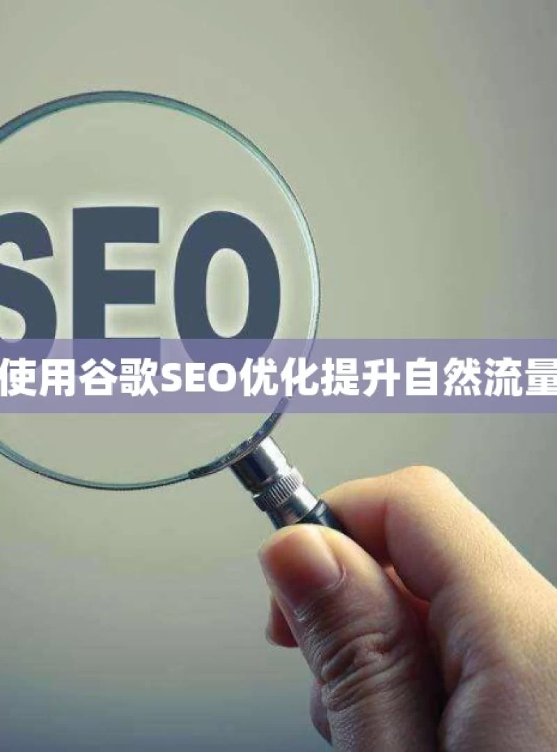 使用谷歌SEO优化提升自然流量