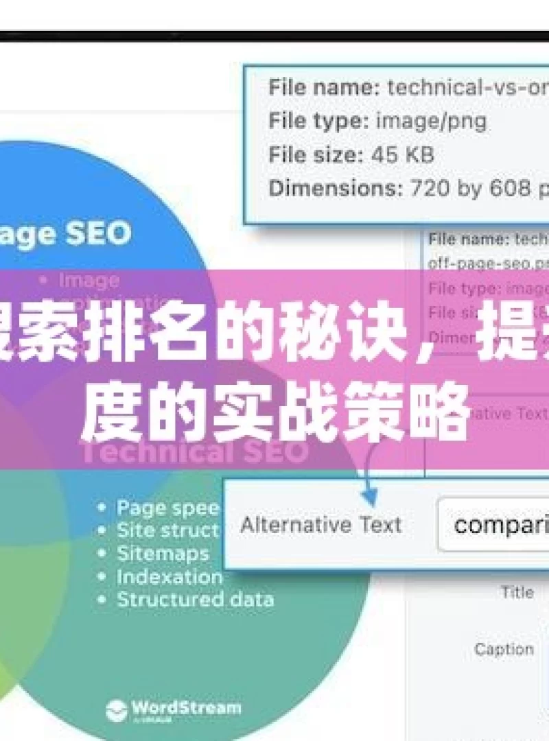 掌握谷歌搜索排名的秘诀，提升网站可见度的实战策略