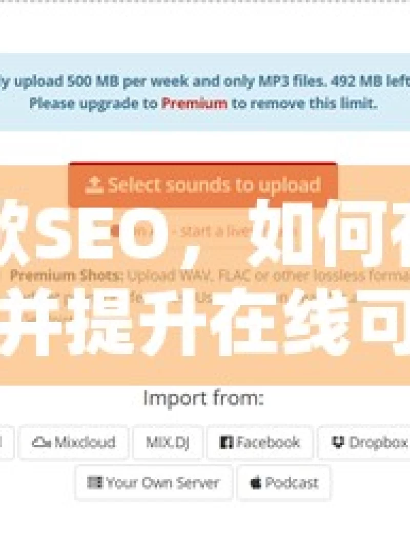 揭秘谷歌SEO，如何有效吸引客户并提升在线可见性