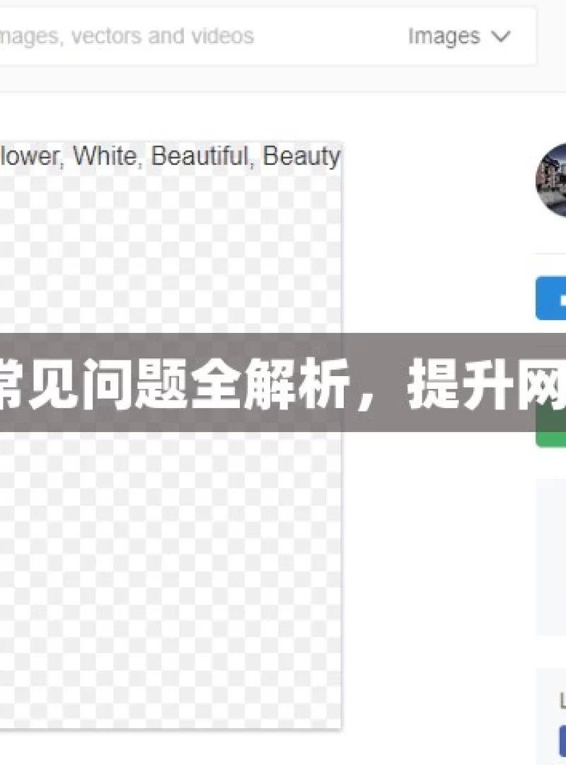 谷歌 SEO 常见问题全解析，提升网站排名秘籍