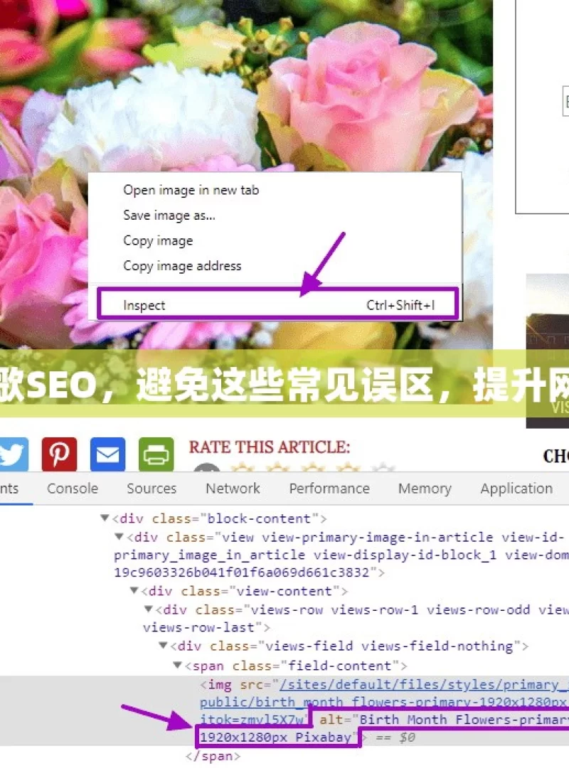 揭秘谷歌SEO，避免这些常见误区，提升网站排名